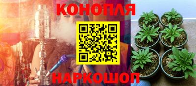 дмт Будённовск
