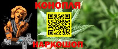 дмт Будённовск