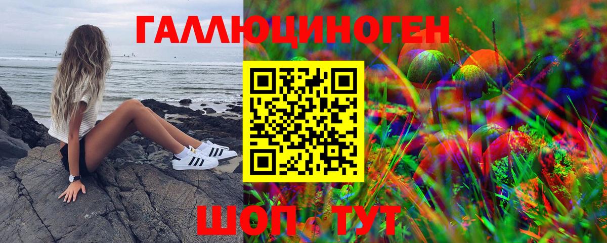 Новомосковск  Псилоцибиновые грибы Psilocybe  Вход с VPN  Псилоцибиновые грибы Psilocybine cubensis 