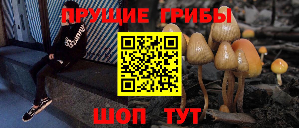 Галлюциногенные грибы мухоморы Новомосковск
